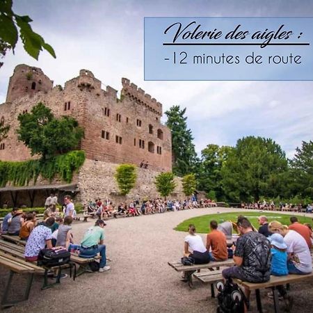 Appart 4 Pers Design Et Cosy Avec Jardin Au Coeur De Sélestat Buitenkant foto
