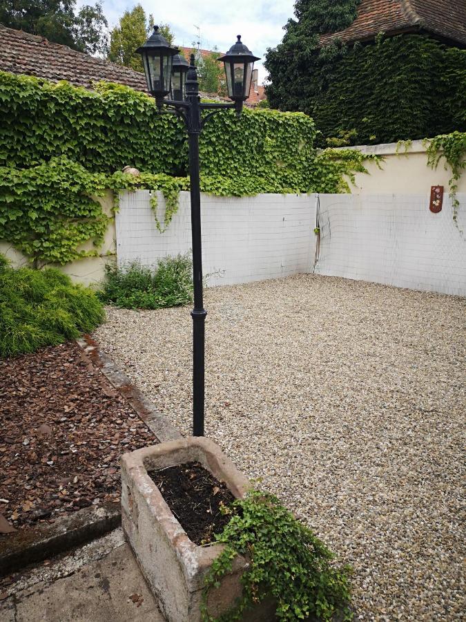 Appart 4 Pers Design Et Cosy Avec Jardin Au Coeur De Sélestat Buitenkant foto