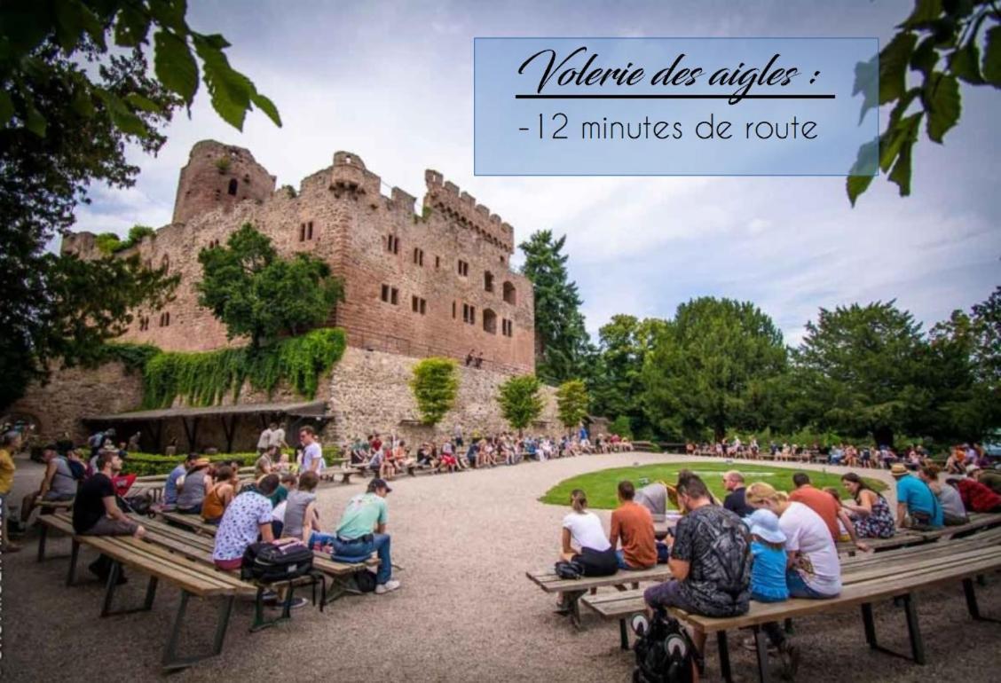 Appart 4 Pers Design Et Cosy Avec Jardin Au Coeur De Sélestat Buitenkant foto